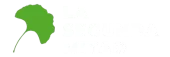 La Segunda Mitad